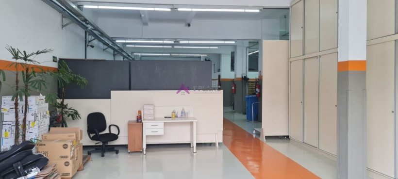 PP1830012.jpg