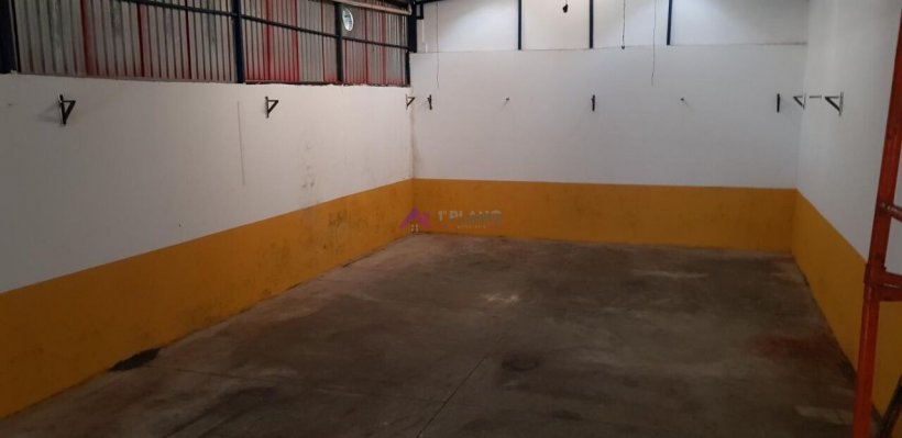 PP1659009.jpg