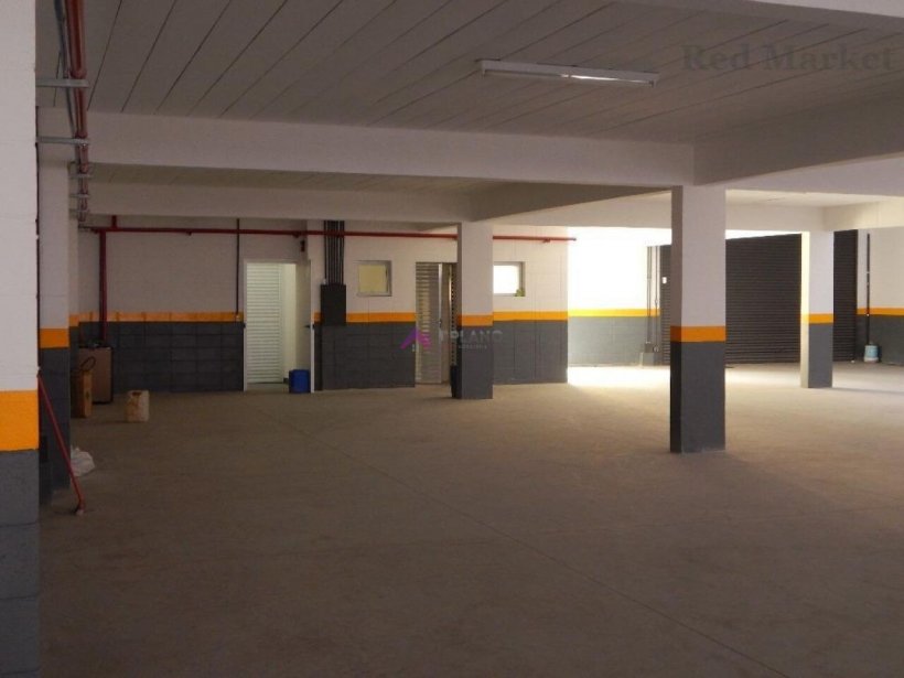 PP1673015.jpg