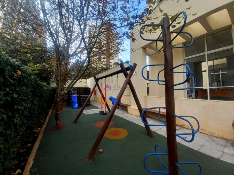 PP447018.jpg