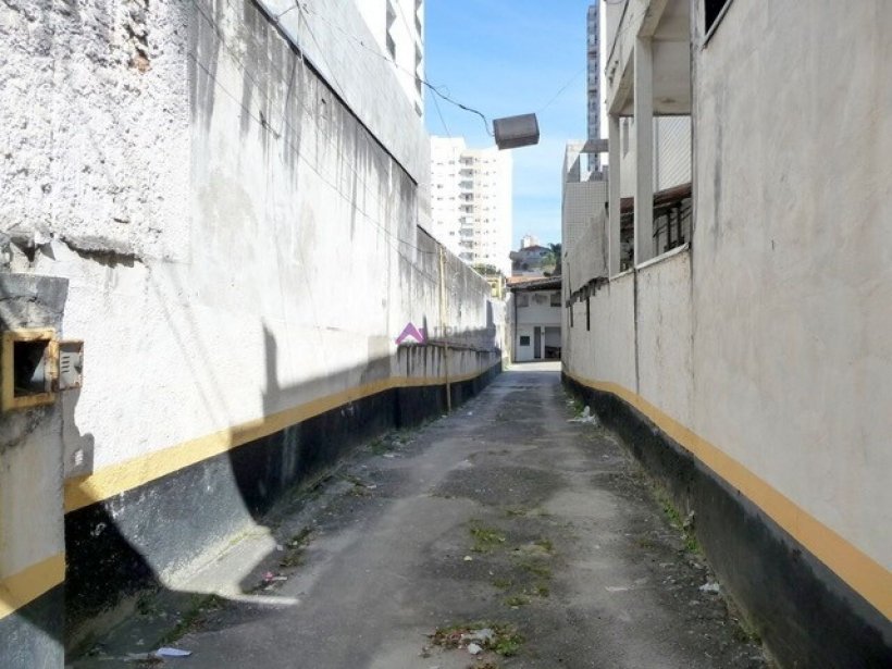 PP1765004.jpg