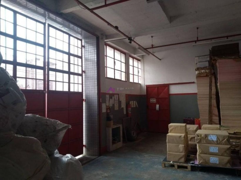 PP1653008.jpg