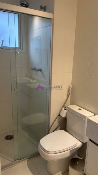 PP1572010.jpg