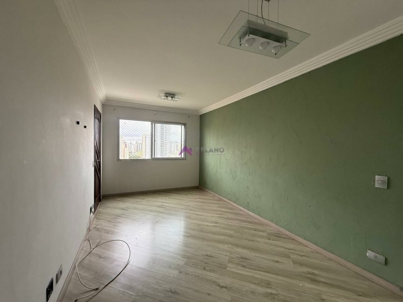 PP1139001.jpg