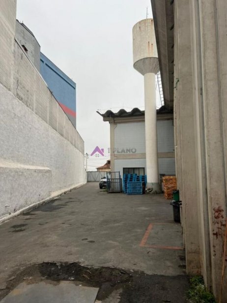 PP1662003.jpg