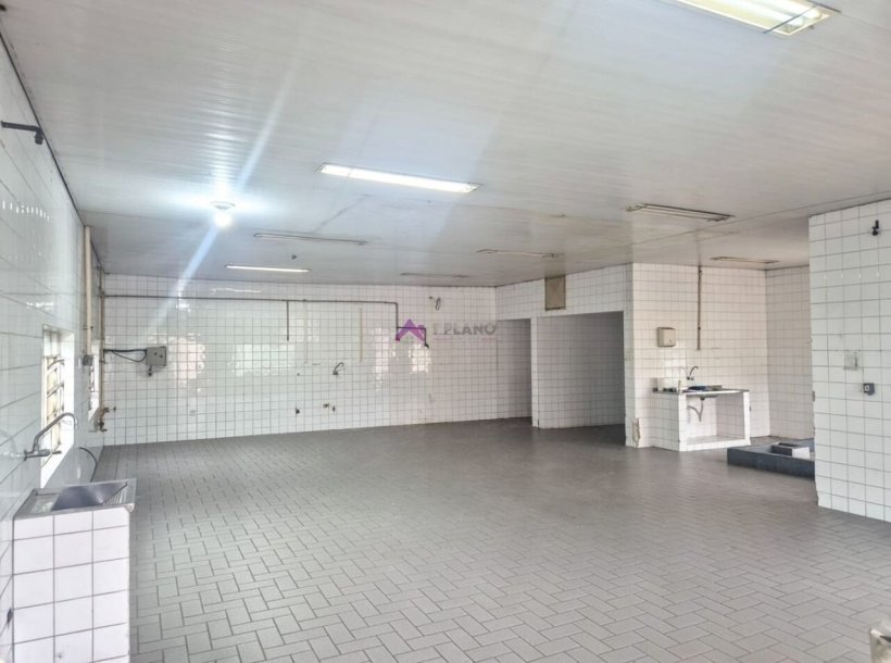 PP1737004.jpg