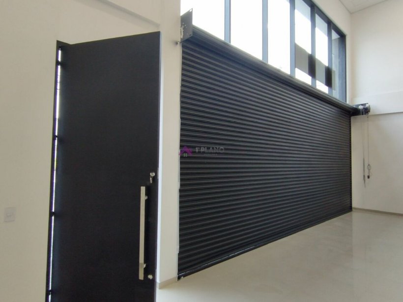PP1259005.jpg