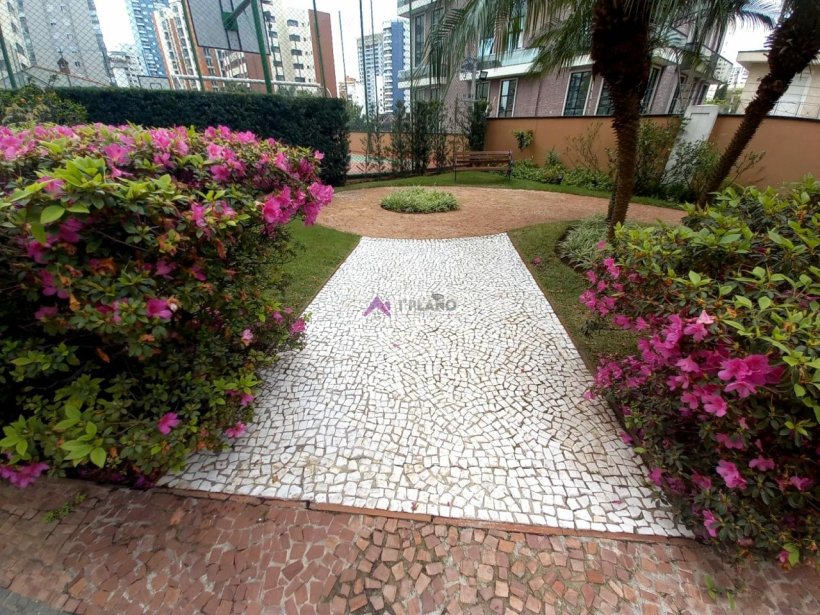 PP724029.jpg