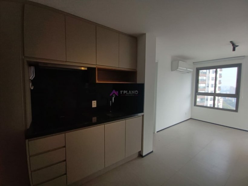 PP1548027.jpg
