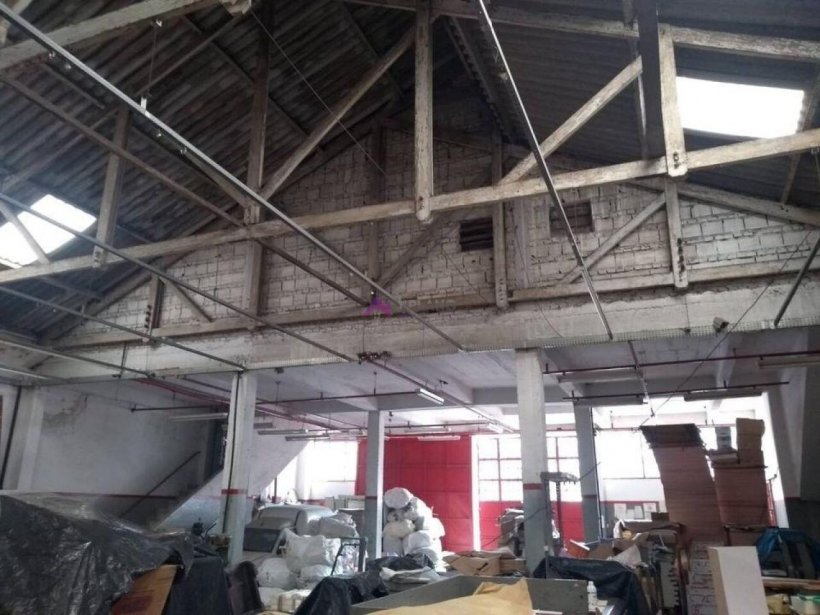 PP1653013.jpg