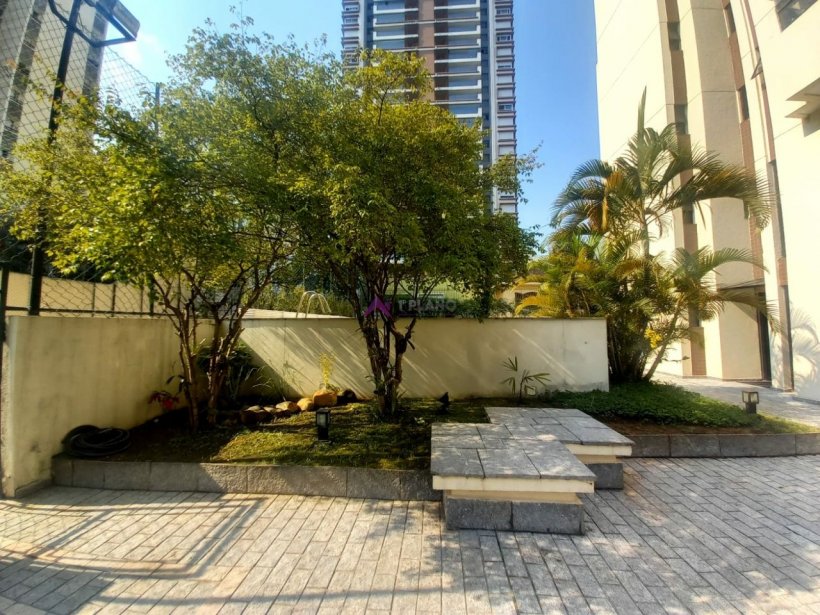 PP384028.jpg