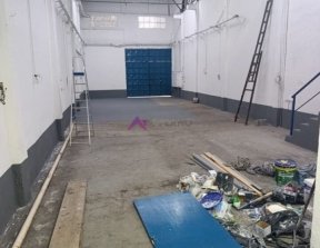 PP1726014.jpg