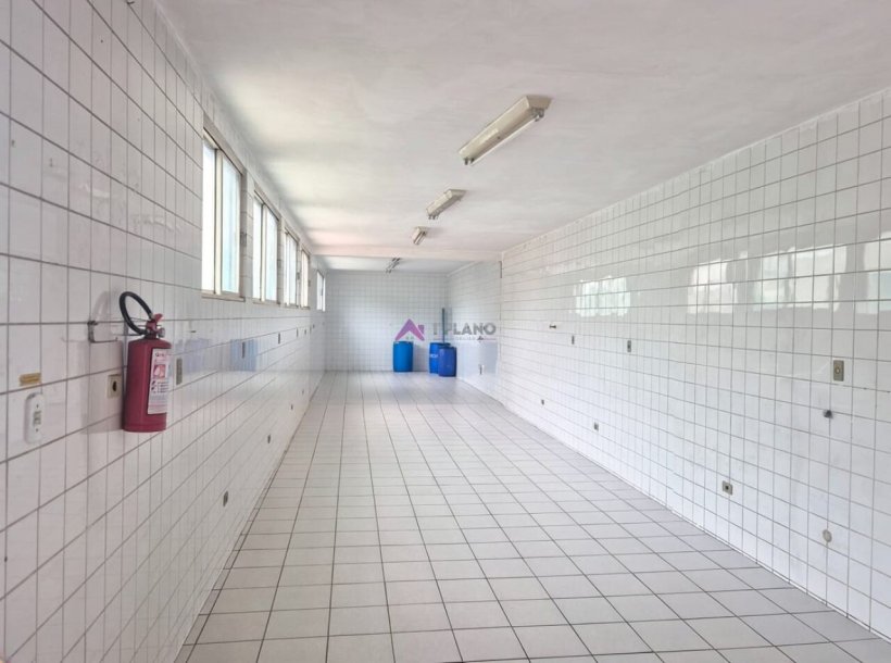 PP1737007.jpg
