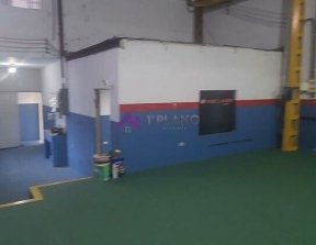 PP1562005.jpg