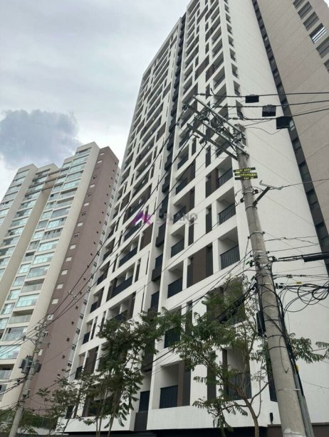PP311016.jpg