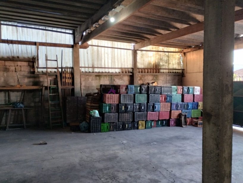 PP1703011.jpg