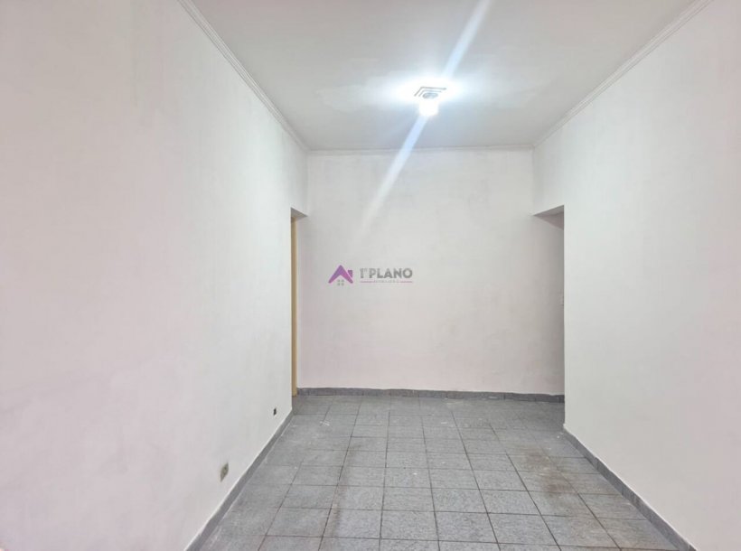 PP1737006.jpg