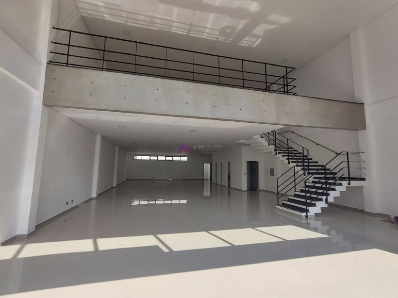 PP1259004.jpg