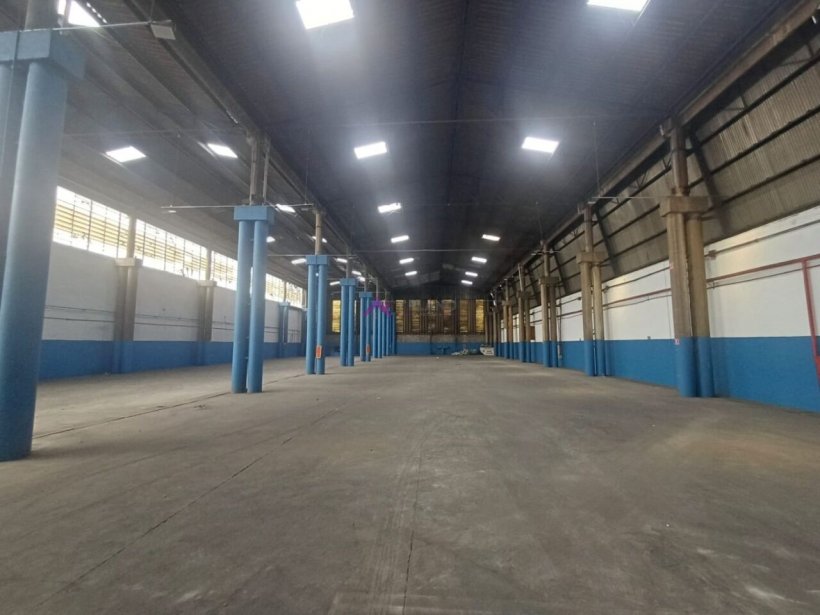 PP1658002.jpg