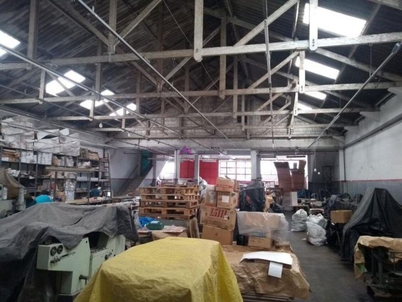 PP1653006.jpg
