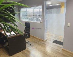 PP1818001.jpg