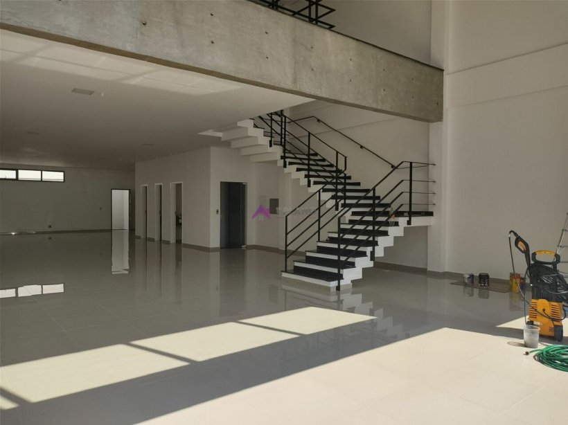 PP1259013.jpg