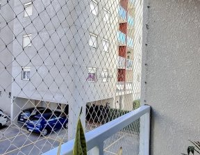 PP1716006.jpg