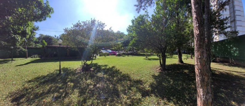 PP1731010.jpg