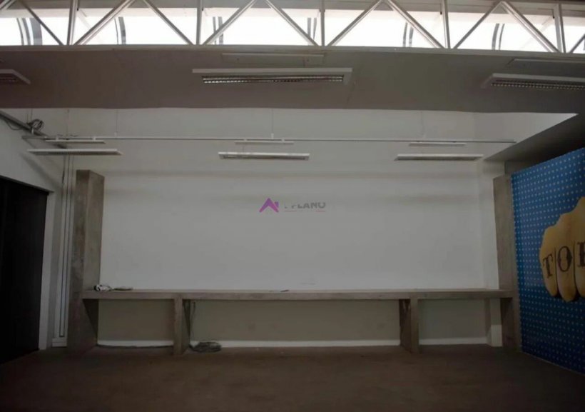 PP1831006.jpg