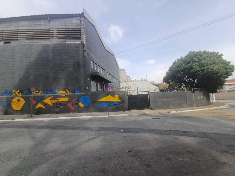 PP1658008.jpg