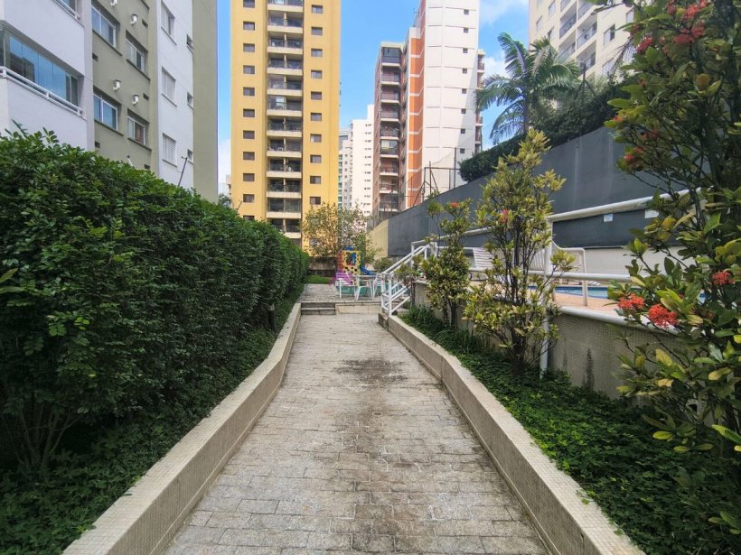 PP1657025.jpg