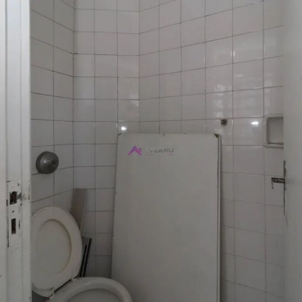 PP1622017.jpg
