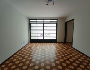 PP483008.jpg