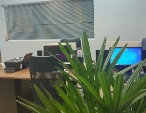 PP1818009.jpg