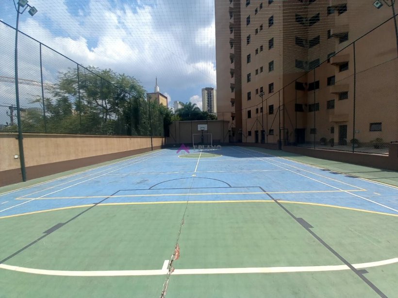 PP728022.jpg
