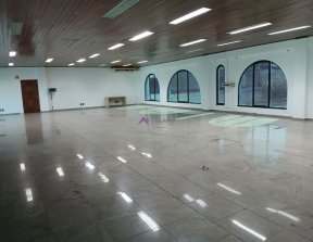 PP1832022.jpg