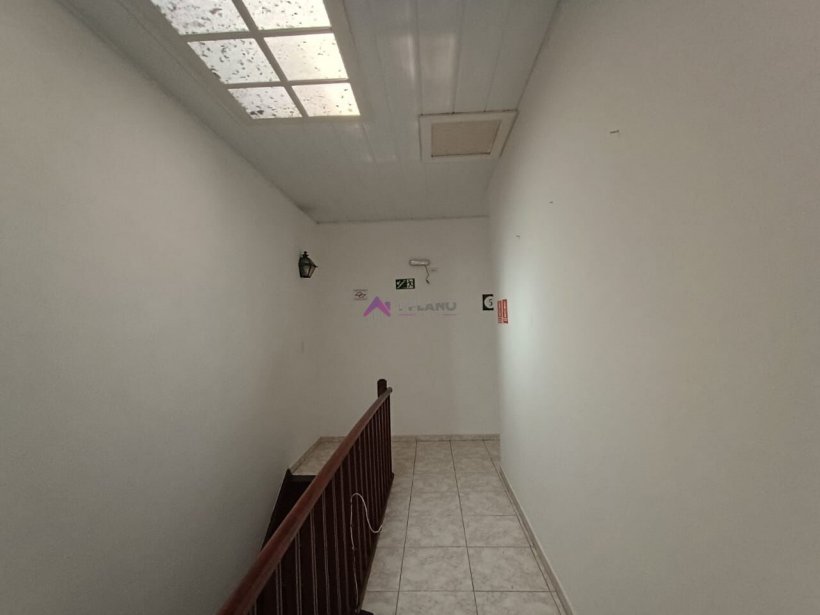 PP1748048.jpg