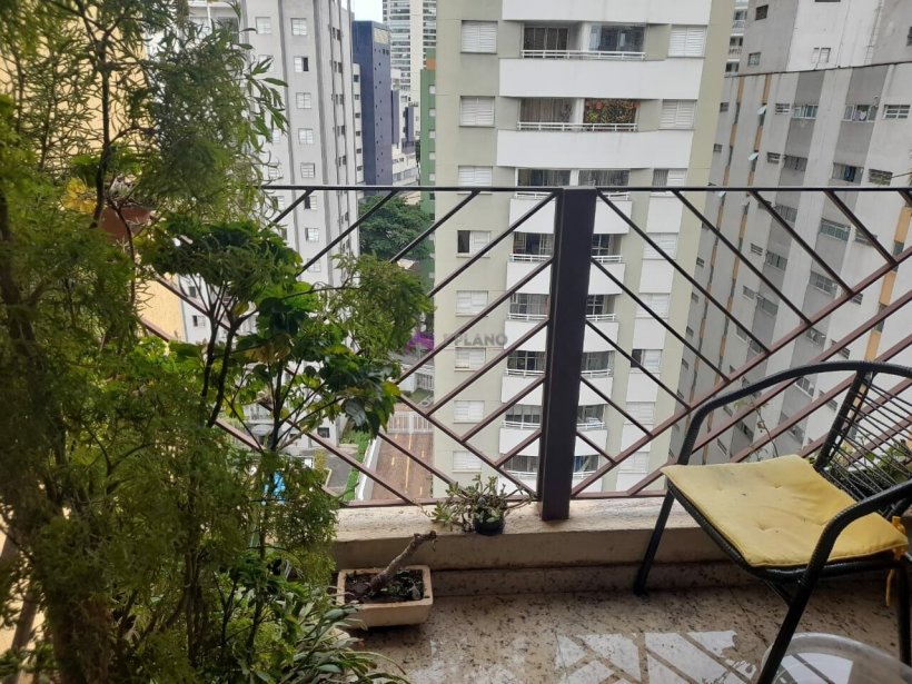 PP1564020.jpg