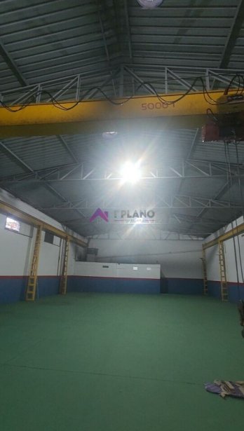 PP1562008.jpg