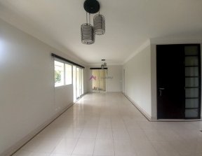 PP329016.jpg