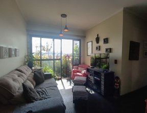 PP1573014.jpg