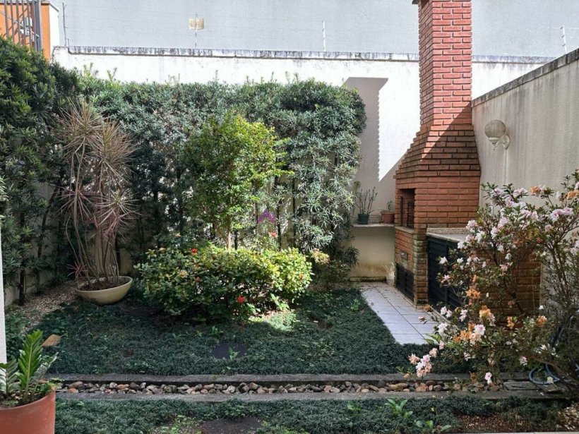 PP459033.jpg