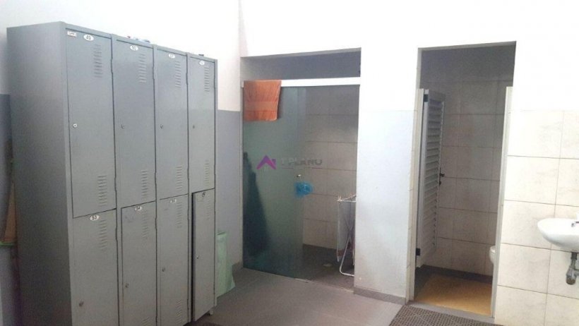 PP1698023.jpg