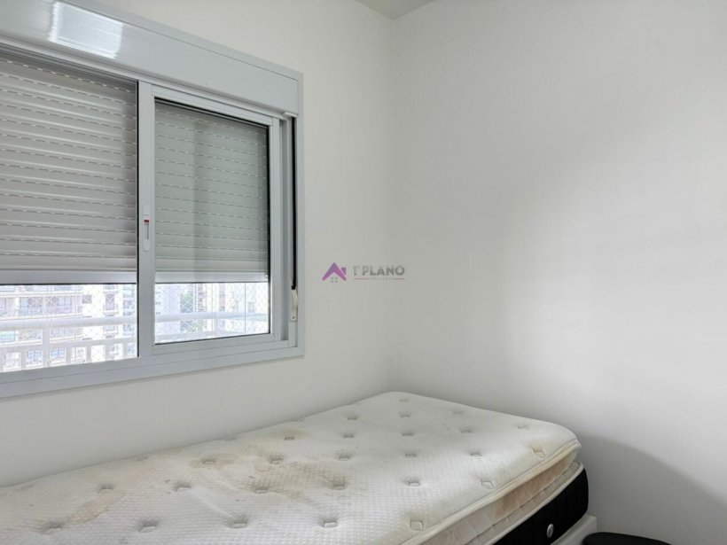 PP1198010.jpg