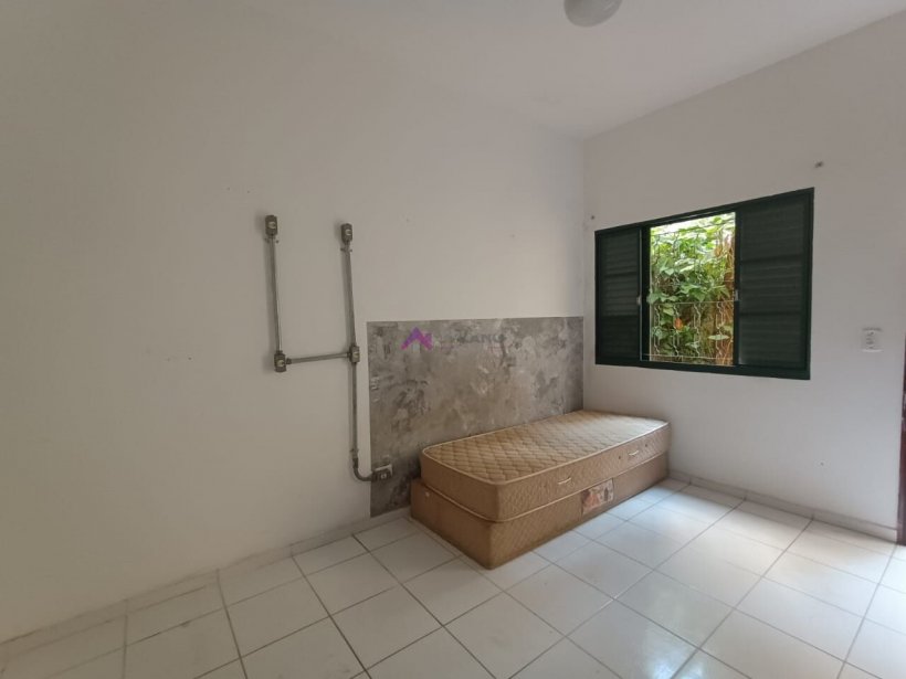 PP1748028.jpg