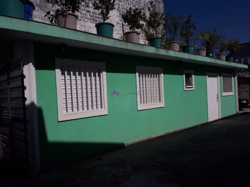 PP1687018.jpg