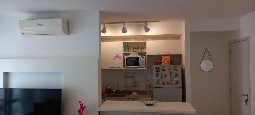 PP1805018.jpg