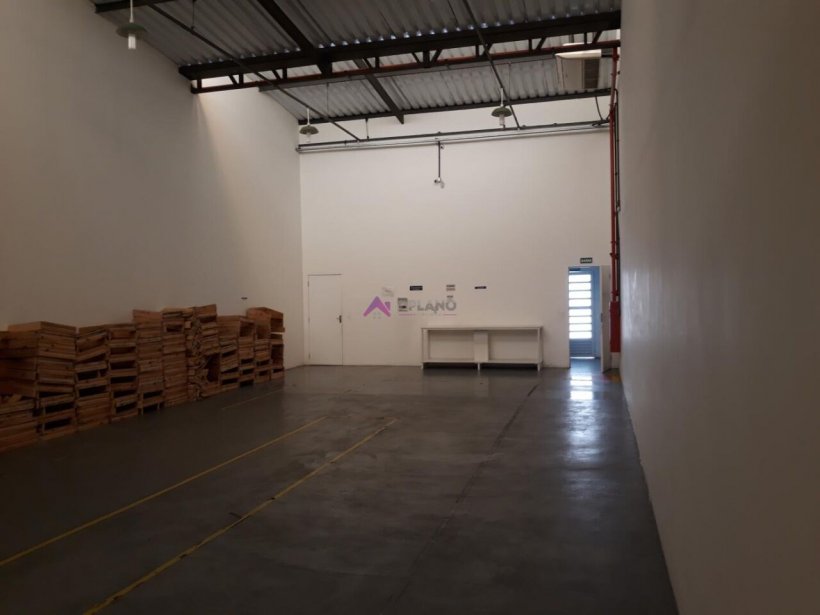 PP1670017.jpg