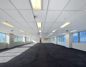 PP1814001.jpg