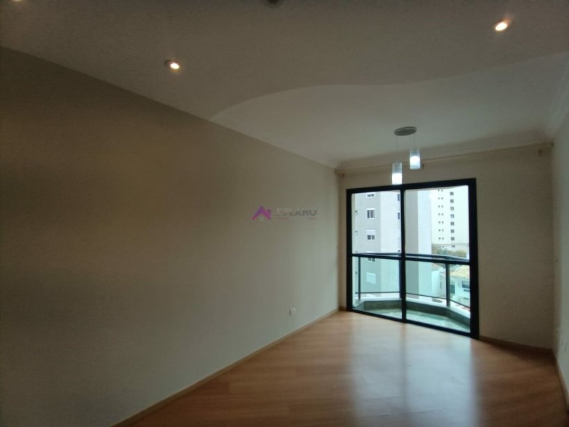 PP81017.jpg